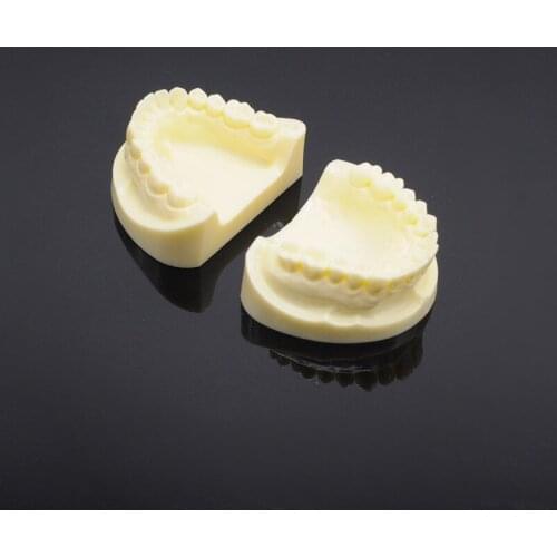 Corundum Tooth Model Teaching Model 1Pcs Color White For Dental Clinic
