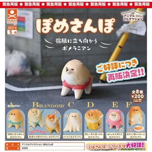 Japan Original Genuine Capsule toys cute pet kawaii Walk the Pomeranian Don't leave Messy in the wind gashapon figures