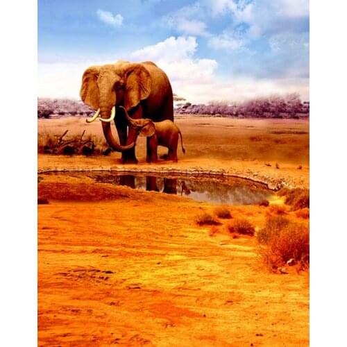 Animal Elephant Photography Backdrops Photo Props Studio Background 5x7ft