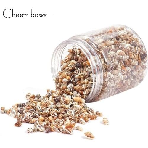 Cheerbows Hot Sale Mixed Sea Shells Assorted Natural Seashells Conch Crafts DIY Decoration for Arts & Crafts Project