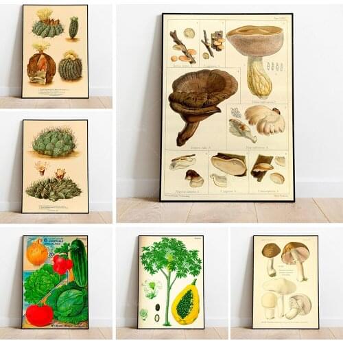 Creeping Avens Wall Print| Botanical Wall Art| Art Canvas| Poster Vintage| Flower Art| Kitchen Wall Art| Wall Poster