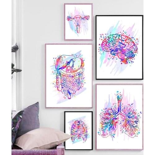 Color Anatomy Brain Heart Skeleton Retro Wall Art Canvas Painting Nordic Posters And Prints Wall Pictures For Doctor Room Decor