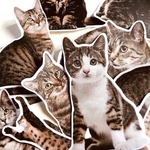 Cute Cat Sticker 01 DIY Scrapbook Base Collage Phone Diary Photo Props Gift Sealing Decoration
