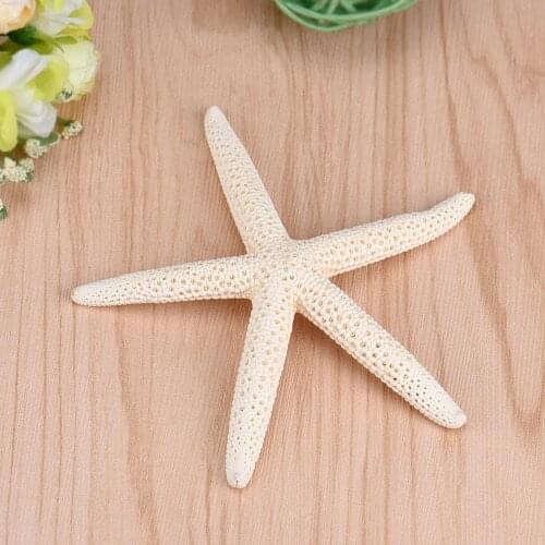 1 Piece 10-12cm White Natural Finger Starfish Craft Decoration Natural Sea Star DIY Beach Cottage Decor