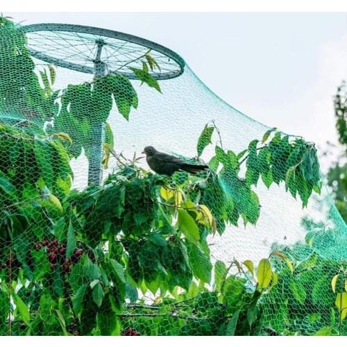 Garden Plant Netting Vegetable Plants Mesh Net Covers For Fruits Garden Isolation Insect Bird Protection Net Mesh Grow Holder