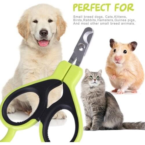 VP FROKE Dog Claw Scissors