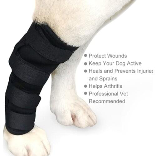 2018 New 1PC Dog Knee Support Leg Protector Brace for Hind Leg Hock Joint Wrap Breathable Injury Recover Legs Pet Leg Care
