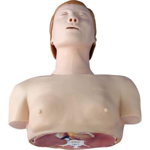 Basic Half Body Medical Training CPR Manikin Model