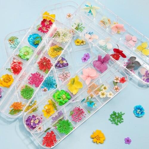 1 Box Real Dried Flower Dry Plants For Epoxy Resin Molds Fillings Pendant Necklace Jewelry Making Craft DIY Nail Art Accessories