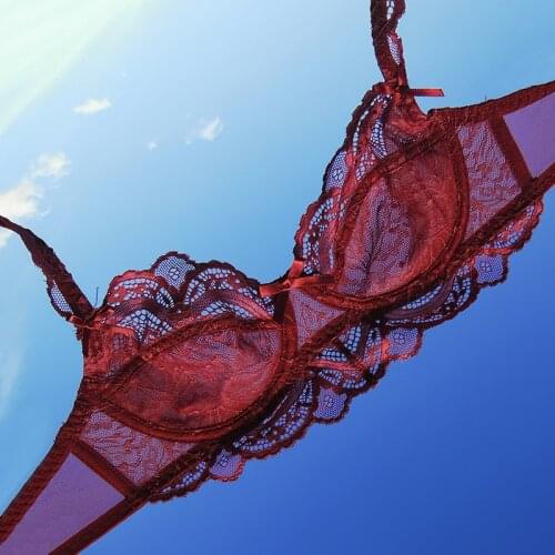 French Lace Underwear Set Women Sexy Push Up Womens Bra And Panties Transparent Lingerie Sets E Plus Size Red White Black 2020