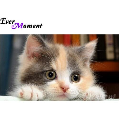 Ever Moment DIY Diamond Embroidery Cute Cat Diamond Mosaic Full Square Drills Home Decoration Artwork Diamond Painting ASF1112