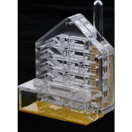 Clear Ant Feed Farm Formicarium Box Moisturizing 10x6x12cm