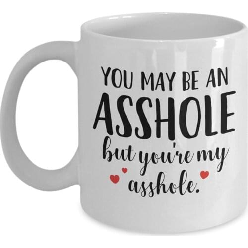 MyCozyCups Valentines Day Coffee Mug You May Be An Asshole But You're My Asshole Mug