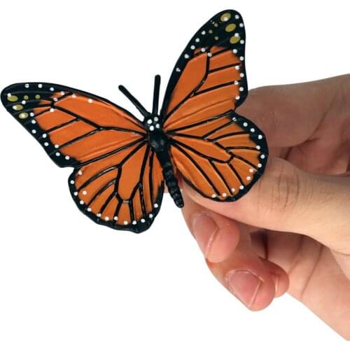 Simulation Butterfly Growth Life Cycle Figures Imagination Toy For