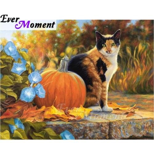 Ever Moment Diamond Painting Cat Pumpkin Picture Of Rhinestone Diamond Embroidery 5D DIY Full Square Decorataion ASF1790