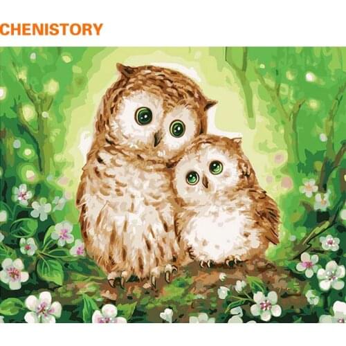 CHENISTORY Owl Lover DIY Painting By Numbers Modern Wall Painting Home Decoration Hand Painted Oil Painting For Living Room Gift