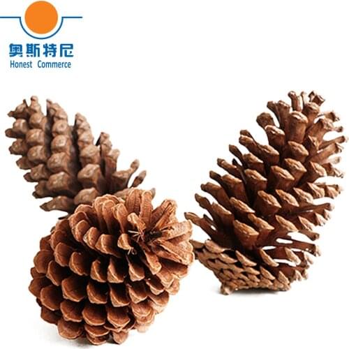 4pcs 12-14cm big size natural Christmas decoration big pine cones