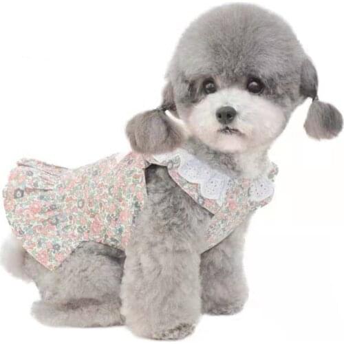 Summer Pet Dress Dog Cat Puppy Dresses Small Dog Clothes Yorkshire Terrier Pomeranian Shih Tzu Bichon Poodle Schnauzer Clothing