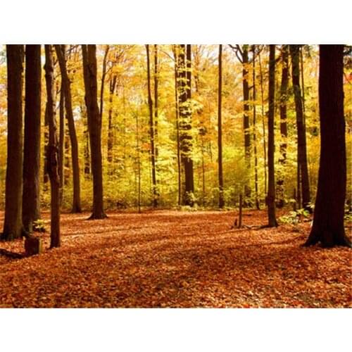 ARMYQZScenery tree sunshine 5D DIY round diamond square diamond diamond painting cross stitch embroidery diamond mosaic art livi