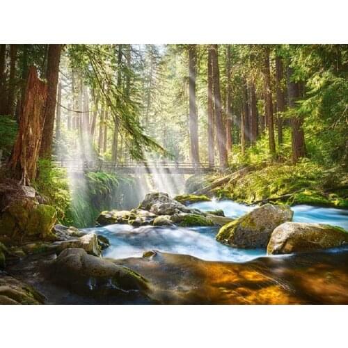 MHD Diamond painting cross-stitch kits Woods scenery full square rhinestones paintings diamond embroidery icons Home Decor