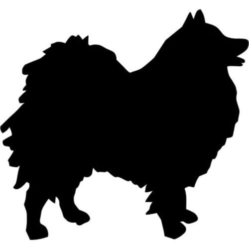 14*13CM German Spitz Dog Car Sticker Funny Personalized Car Styling Accessories Motorcycle Stickers C2-0424
