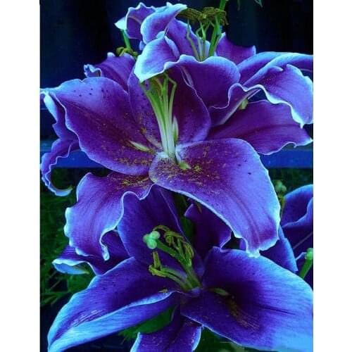 5D Diamond Painting "purple Lily Flower" Diamond Embroidery Large Floral Cross Stitch 5D Home Decor Gifts Creative Mosaic Kits