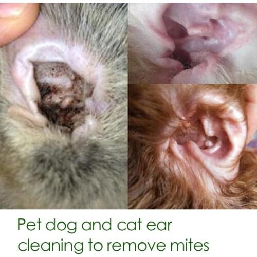Dog and cat ear drops 10g, ear canal infection, itchy ears, smelly imported from France