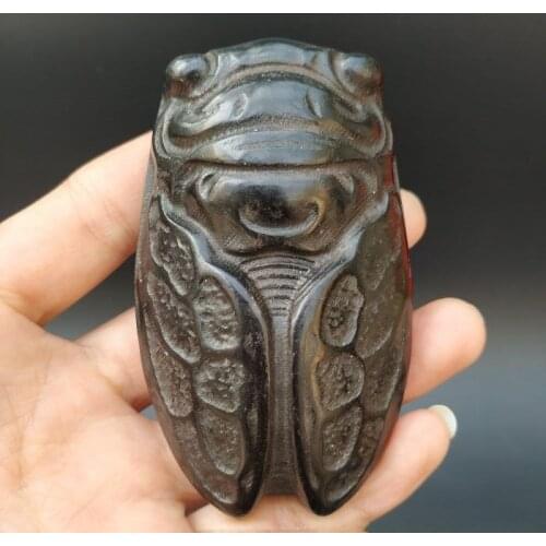 Iron meteorite, Cicada Trinket , old thing Moral: amaze the world with