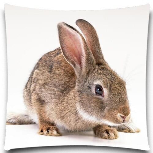 Grey rabbit and Lizard Pattern Animal Pillow Case Cotton Polyester Chair Seat and Waist Square 18 Inches Home Living Textile