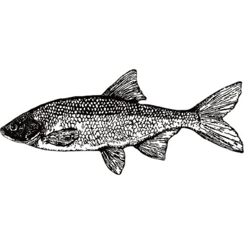 New Arrival Black Fishing Fish Patches Iron on Patches Heat Transfer Pyrography Stickers for DIY T-Shirt Clothing Printing Decor