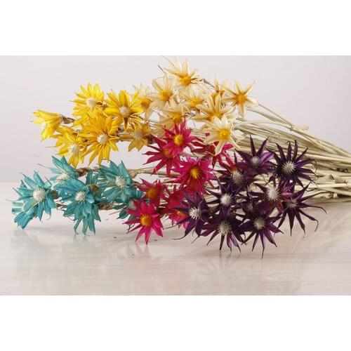 1 Bunch Natural Dried Flowers Bouquet Handmade Daisy Immortal Rattan Table Decorations Dried Flower Arrangement