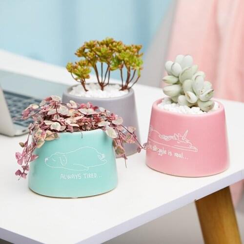 2021 New Ceramic Succulents Flower Pot Home Garden Cactus Green Plant Flower Pot Craft Green Flower Pot Home Decoration Garden