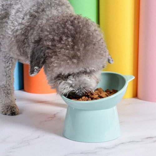 Pet Cat Dog Bowl 45°Neck Protects Cervical Vertebravels High Feeding Bowl Anti-overturning Pet Feeder Bowl Kitten Puppy Supplies