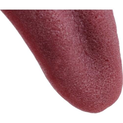 Hot Sale New Horror Funny Magic Tricks Whole Person False Simulation Rubber Tongue Decompression Toy Halloween Prank Silicone