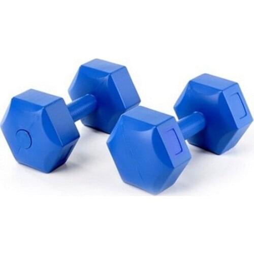 Fitness Equipment Gym Sport Avessa 6 kg-Pointed Dumbbell Set