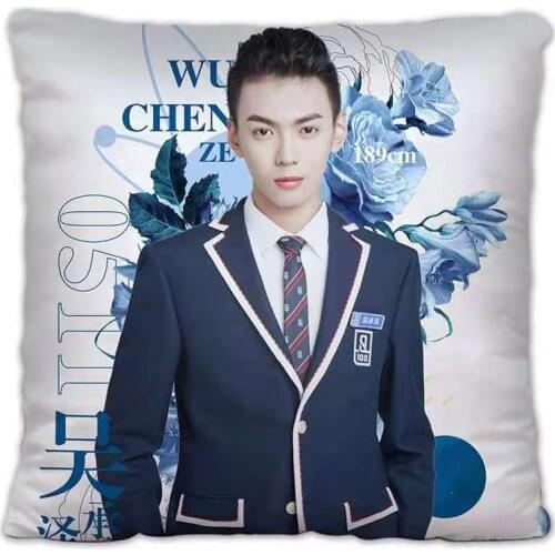 Youth Has You Wu Chengze Pillowcase Pretty Scholar Yu Lexuan Same Paragraph Star Photo Poster Cushion Cover Souvenir Home Decor