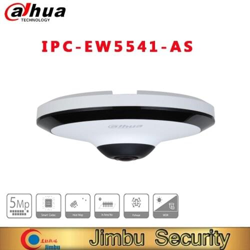 Dahua 5MP WizMind IR Fisheye Network CAMERA IPC-EW5541-AS PoE power supply easy for installation security camera cctv camera
