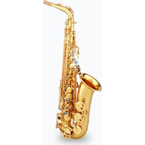 Chinese Brand Original Taishan TSAS-767 E flat Alto Saxophone Gold Lacquer Abalone Port Button for Adult and Child
