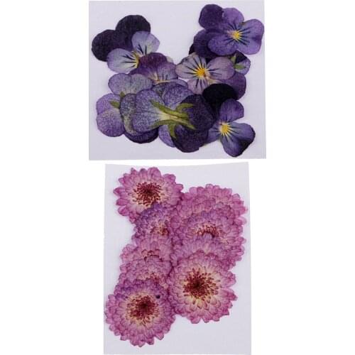 22x Pressed Dried Flowers Real Daisy Pansy Dried Flowers For Art Crafts Scrapbooking Decor gift packaging materials