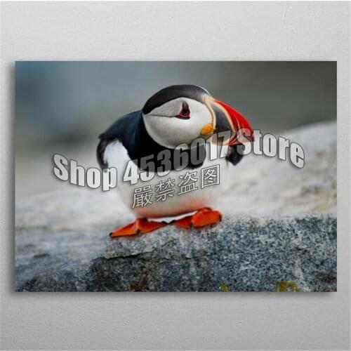 5D Diy Diamond Painting Puffin Bird Diamond Embroidery Full Diamond Mosaic Animals Pictures Of Rhinestones Home Decor Craft Kits