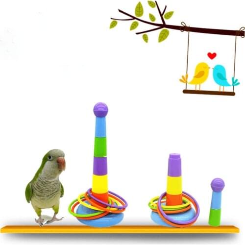 1Set Mini Ferrule Toy for Parrot Funny Development Interactive Game Colorful Rings Pet Supplies Bird Toy