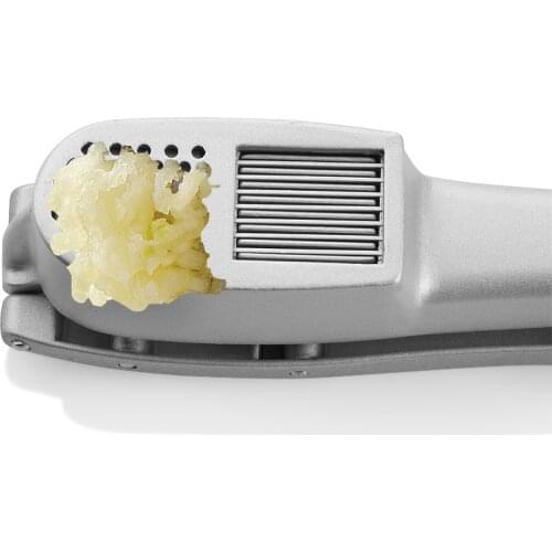 2 in 1 Garlic Press Slice Crushing Machine - Aluminium & Ginger Mincer and Slicer Function Crush Kitchen Cooking Tools