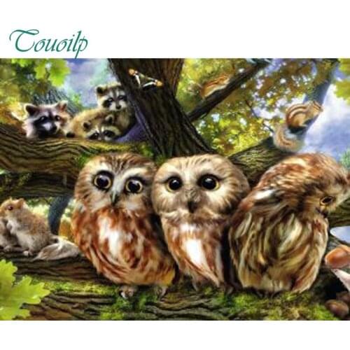 Diy Diamond Painting Cross Stitch Square&round Animal Owl squirrel Bear Diamond Embroidery 5D Diamond Mosaic Crafts Home Decor