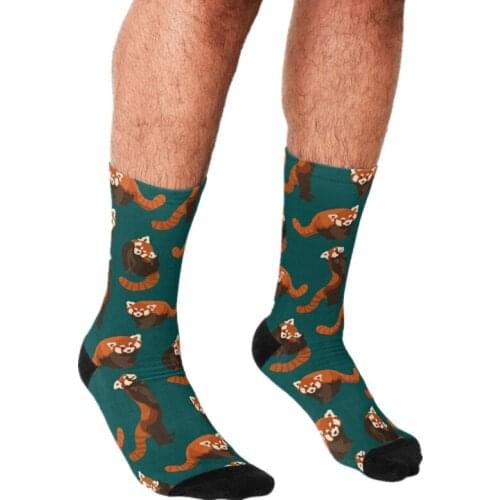 2021 Funny Mens socks red panda green Pattern Printed hip hop Men Happy Socks cute boys street style Crazy Socks for men