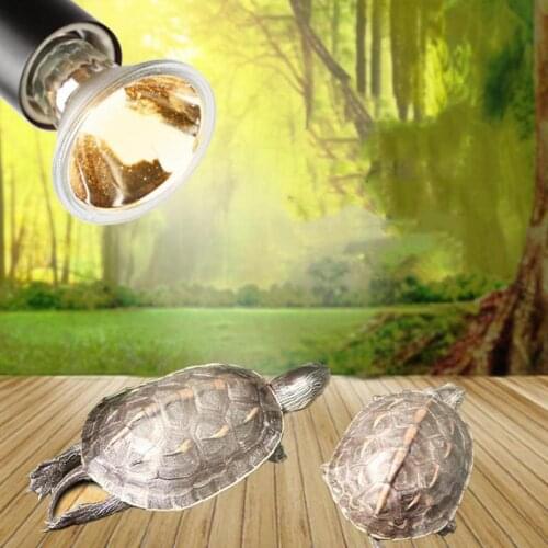 Reptile Lamp Bulb Turtle Basking Uv Light Bulbs Heating Lamp Amphibians Lizards Temperature Controller Tortue Reptile Supplies96