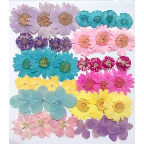New product mixed diy dried flower material package net red photo stickers face makeup 1 pack (about 36 pieces)