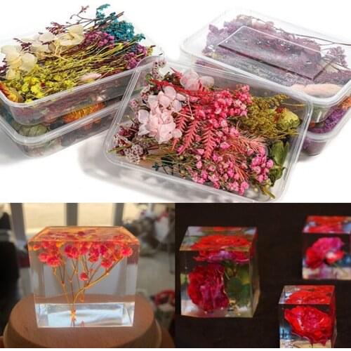 1 Box Real Mix Dried Flower For Resin Candle Epoxy Jewellery Dry Plants Pressed Flowers Making Craft DIY Accessories