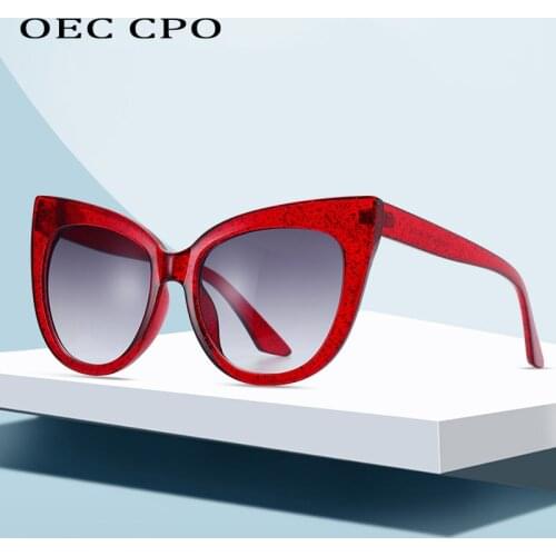 New Brand Star Style Luxury Sunglasses Women Oversized Cat Eye Sunglasses Female Vintage Round Big Frame Outdoor Sunglass UV400