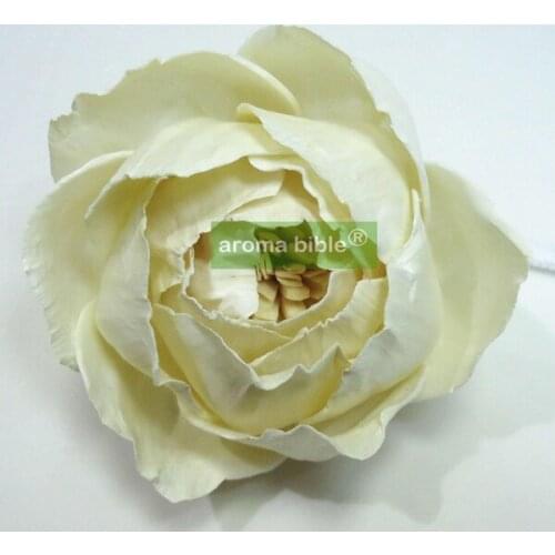 1000 pcs /lot Handmade sola wood flowers for fragrance diffuser and home decor with 12cm Rope or rattan reed sticks Top quality