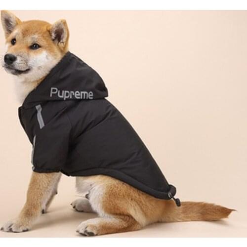 CHICHONG Jackets For Dogs